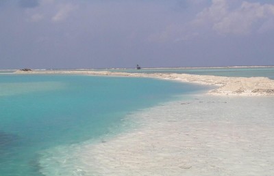 ހޯރަފުށީގައި އެއާޕޯޓު އަޅަން ބިން ހިއްކަން ފަށައިފި