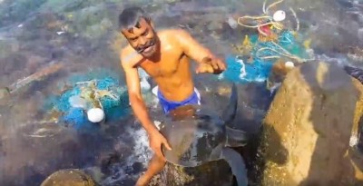 ދުނިޔެއިން ނެތިދާނެ ކަމުގެ ބިރުހީވެފައިވާ ބޯބޮޑު ވެލައެއް ދިވެއްސަކު ސަލާމަތް ކޮށްފި