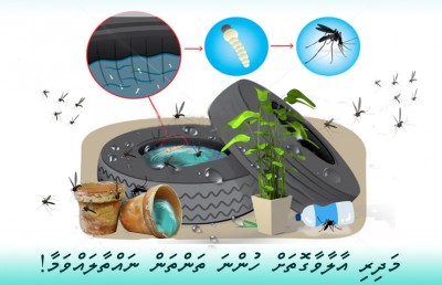 ޑެންގީ ދަށްވެ ޗިކުންގުންޔާ ޖެހުނު މީހުންގެ އަދަދު މައްޗަށް
