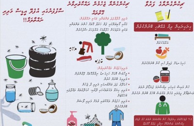 ޑެންގީ ދަށްވެ ޗިކުންގުންޔާ ޖެހުނު މީހުންގެ އަދަދު މައްޗަށް