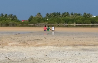 ސައިންސްވެރިންގެ ބަސް: ކުޅުދުއްފުށީ ކުޅި އަދިވެސް ހިމާޔަތް ކުރެވޭނެ