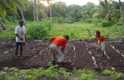 ހިތުހުރި ގޮތަކަށް ޕެސްޓިސައިޑް ބޭނުންކުރުމުގެ އަގު