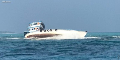 ދޯންޏެއް ފަރަށް އަރައި ދިވެއްސަކަށް އަނިޔާވެއްޖެ