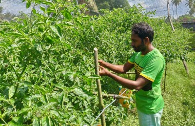 ކަނޑޫދޫ މިރުސް ދަނޑުތަކަށް، ފުރަތަމަ ފަހަރަށް، ހީނަރުކަން!