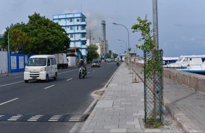އެތައް ހާސް ގަހަކާ އެކު މާލެ ފެހިކޮށްލަނީ