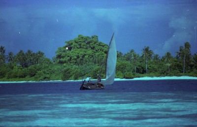އެމެރިކާގެ ދެމަފިރިންގެ ފޮޓޯތަކުން ދިވެހި މާޒީ