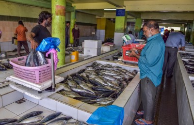 މަސްވެރިން ބުނަނީ މަހުގެ އަގު ބަދަލު ނުވާނެ ކަމަށް