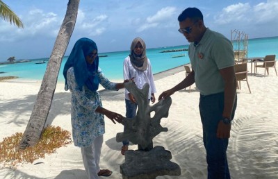 ސަނާ، ނާއީ، މުނާ: މި ވިސްނުމުން ޓޫރިޒަމް ދާއިރާއަށް ހިނިތުންވުން!