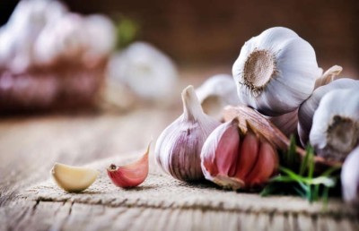 ދިފާއީ ނިޒާމު ވަރުގަދަ ކުރަން ކާންވީ އެއްޗެހި