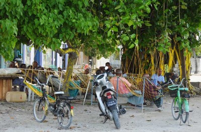 ކޮޅުވެއްޓިއެއްގެ ކައްޕިއެއް ކުއްލި ގޮތަކަށް މަރުވެފައި އޮއްވާ ފެނިއްޖެ
