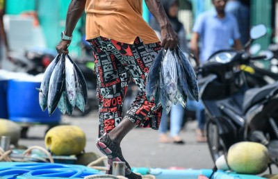 މަސް އެކްސްޕޯޓްކޮށްގެން 21.8 މިލިއަން ޑޮލަރު ލިބިއްޖެ