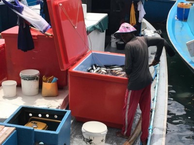މަހިބަދޫ އައިސްޕްލާންޓަށް ލޯނަށް އެދުމުގެ ފުރުސަތު ހުޅުވާލައިފި