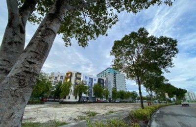 ކްރިކް ރިޒާގެ ބިމެއް 20 މިލިއަނަށް އައިމާއަށް ވިއްކާލައިފި