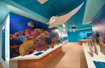 ކްރޮސްރޯޑްސް: އަންތަރީސްވާ ވަރުގެ ތަފާތު ދައްކާލައިފި!