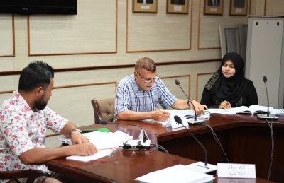 ޖުޑިޝަރީ އަށް ހާއްސަ ކޮމެޓީއަކާ އެކު ކޮމެޓީގެ އަދަދު 17 އަށް