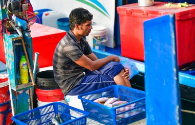 މަސްމާރުކޭޓުގައި މަހުގެ އަގު ކުއްލިއަކަށް ބޮޑުވެއްޖެ