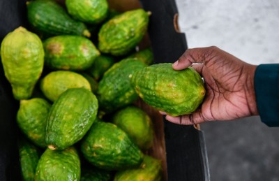 ބަންގްލަދޭޝްގެ ލުނބޯ ދިވެހިންނަށް ކަމަކުނުދިޔަ