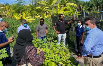 ހެއްދުނު ވަރަކަށް ހައްދަންވީ، މާކެޓް އެބައޮތް، ގަންނަން ތައްޔާރު