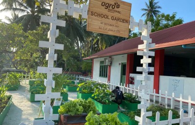 ހެއްދުނު ވަރަކަށް ހައްދަންވީ، މާކެޓް އެބައޮތް، ގަންނަން ތައްޔާރު