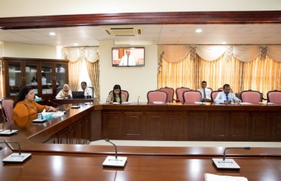 ޖިންސީ ގޯނާގެ މައްސަލައާ ގުޅިގެން އިދާރާތައް ކޮމިޓީއަށް ހާޒިރުކުރަނީ