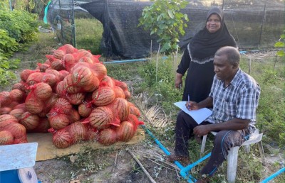 ހެއްދުނު ވަރަކަށް ހައްދަންވީ، މާކެޓް އެބައޮތް، ގަންނަން ތައްޔާރު