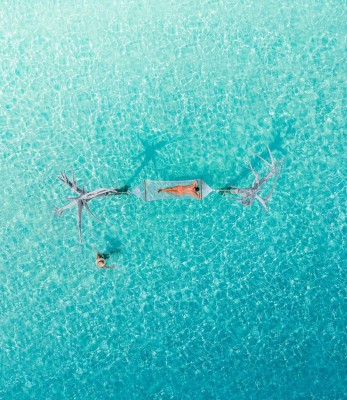 މިލިއަނަކަށް ވުރެ ގިނަ ފޮލޯވާސްގެ ކާމިޔާބީގެ ފަހަތުގައި!