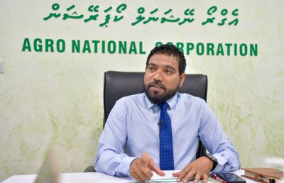 ހެއްދުނު ވަރަކަށް ހައްދަންވީ، މާކެޓް އެބައޮތް، ގަންނަން ތައްޔާރު