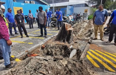 މައްސަލަ ހައްލުކޮށް އަލުން ކަރަންޓް އަލުން ދޭން ފަށައިފި