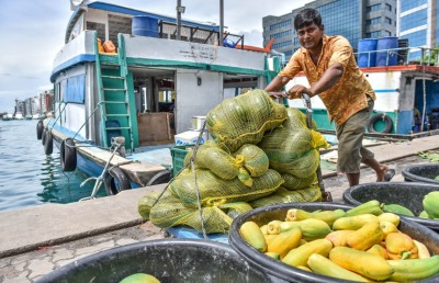 ކަރާގެ "ފޮނިކަމެއް ނެތް"، ކީއްވެ؟
