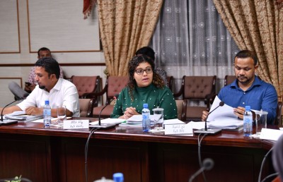 ޖޭއެސްސީގެ ނިންމުމެއް ސައްހަ ކަމަށް މަޖިލިހުން ނުނިންމޭނެ: އަލީ ހުސެއިން