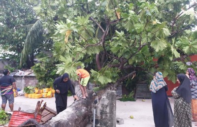 މާމިގިއްޔަށް ވިއްސާރަވެ ގެއްލުންތަކެއް ލިބިއްޖެ