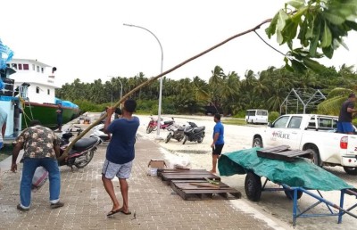 އީޕީއޭގެ ހުއްދަ ނެތި ނެގި ގަސްތަކެއް ފުލުހުން ހޯދައި އެ އިންދައިފި