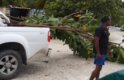 އީޕީއޭގެ ހުއްދަ ނެތި ނެގި ގަސްތަކެއް ފުލުހުން ހޯދައި އެ އިންދައިފި