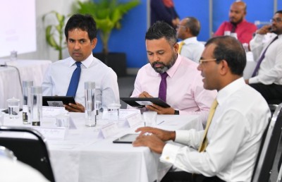 މާބޮޑަށް ހަޑި ހާވައިފި، އަލުން އެއްވާވަރަށް ވުރެ މާ ގޯސް!