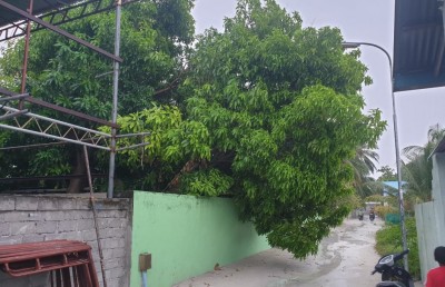 މާމިގިއްޔަށް ވިއްސާރަވެ ގެއްލުންތަކެއް ލިބިއްޖެ