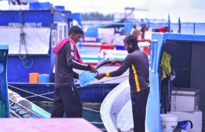 އާ މަޖިލިހަށް ފުރަތަމަ ޕެޓިޝަން: ގަވައިދާ ހިލާފަށް އުޅޭ ބިދޭސީންގެ މައްސަލަ ހައްލުކޮށްދީ!