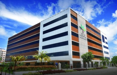 ސްމޯކިން ސެސޭޝަން ކްލިނިކް ޓްރީ ޓޮޕްގައި ފަށައިފި