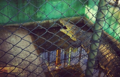 ކިނބުލަށް ވީ ގޮތެއް ނޭނގޭ، އެކަން ބަލާނަން: އެމްއެންޑީއެފް