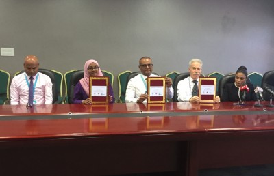 ކަކުލު ހުޅު ބަދަލުކުރާ އޮޕަރޭޝަން ޓްރީ ޓޮޕުން ހިލޭ ކުރެވޭ ގޮތަށް ހަމަޖައްސައިފި