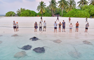 މަޑިއަކަށް އަނިޔާކުރި މައްސަލައެއް އީޕީއޭ އިން ބަލަން ފަށައިފި