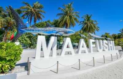 މާފުށީގައި ކުޑަ ކުއްޖަކު ގެނބިގެން މަރުވެއްޖެ