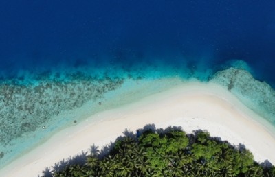 ރަށްތައް ނުހެދި ލަސްވާ ސަބަބު ހޯދަން ދިރާސާއެއް ކުރަނީ