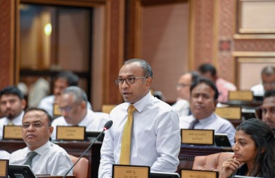 ނުކުޅެދޭ މީހުންގެ އިނާޔަތް ބޮޑު ކުރަން ހުށަހެޅީ މަޝްވަރާ ނުކޮށް، ތާއީދެއް ނެތް: ހަސަން