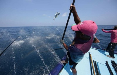 ބޭރު ބޯޓްތައް ރާއްޖޭގައި މަސްވެރިކަން ކުރުން މަނާކުރަން މަޖިލީހަށް ގަރާރެއް
