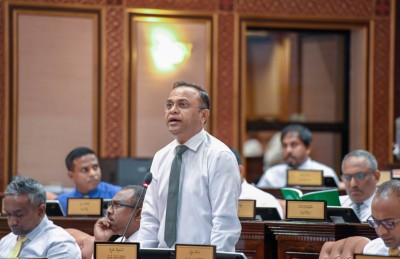 ނުކުޅެދޭ މީހުންގެ އިނާޔަތް ބޮޑު ކުރަން ހުށަހެޅީ މަޝްވަރާ ނުކޮށް، ތާއީދެއް ނެތް: ހަސަން