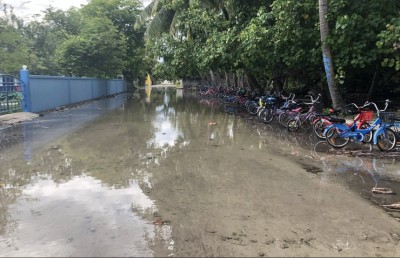 މުޅި ރާއްޖެ އަށް ވިއްސާރަ، ބޮޑަށް ގޯސްވާނީ އުތުރާއި މެދުތެރެއަށް
