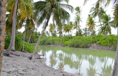 އައްޑޫ ނޭޗާ ޕާކް: ގުދުރަތީ ހިތްގައިމުކަމުގެ ދެވަނައެއް ނެތް!