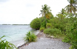 އައްޑޫ ނޭޗާ ޕާކް: ގުދުރަތީ ހިތްގައިމުކަމުގެ ދެވަނައެއް ނެތް!