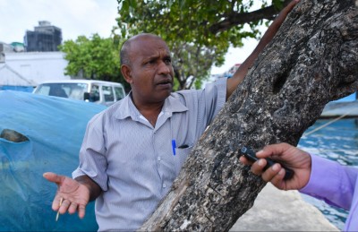 އަސްލު ވެސް ހަނދަށް ދިޔަތަ؟ ބައެއް މީހުންގެ ޖަވާބު