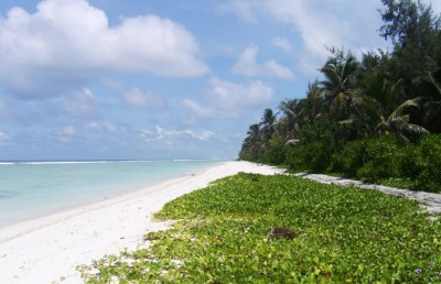 ވިޔަފާރިވެރިން އެޗުޑީސީއަށް: އުސޫލެއްގެ ތެެރެއިން ފުރުސަތު ދީ!